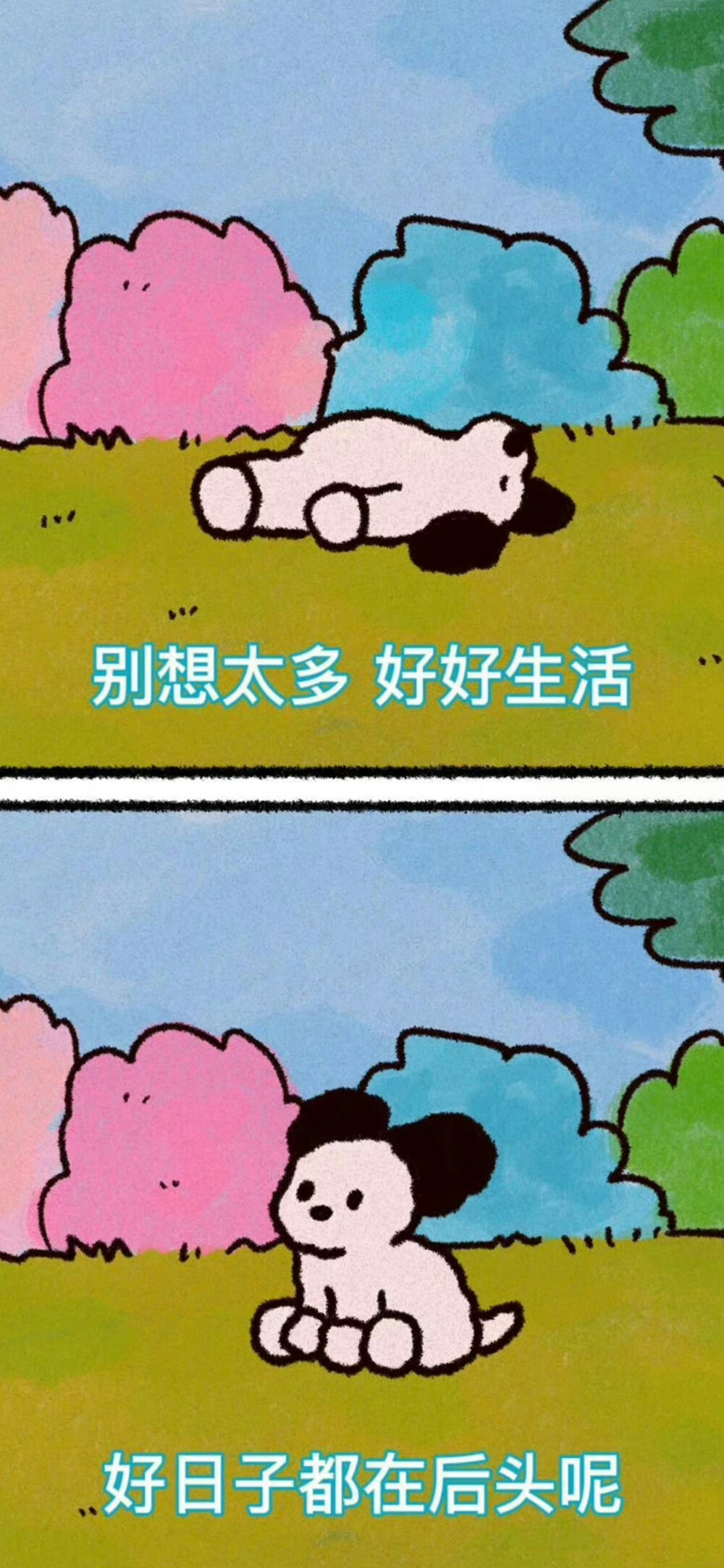 手机壁纸