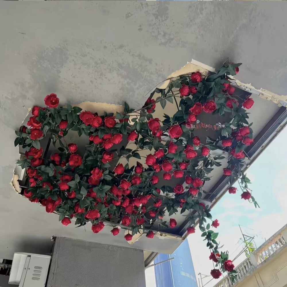 【我爱的背景】