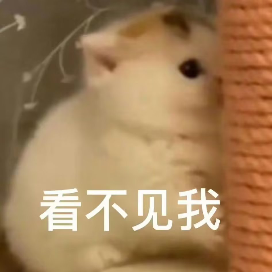 小猫咪表情包