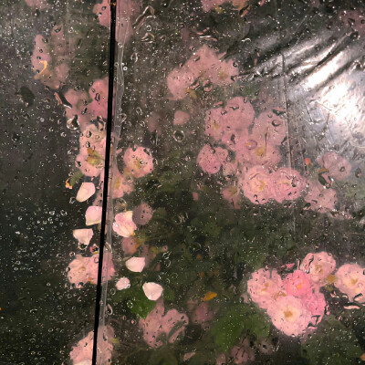 【我爱的背景】