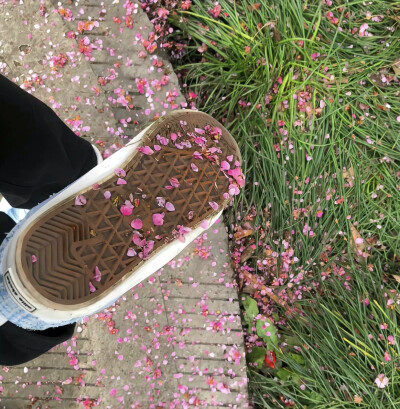 【我爱的背景】