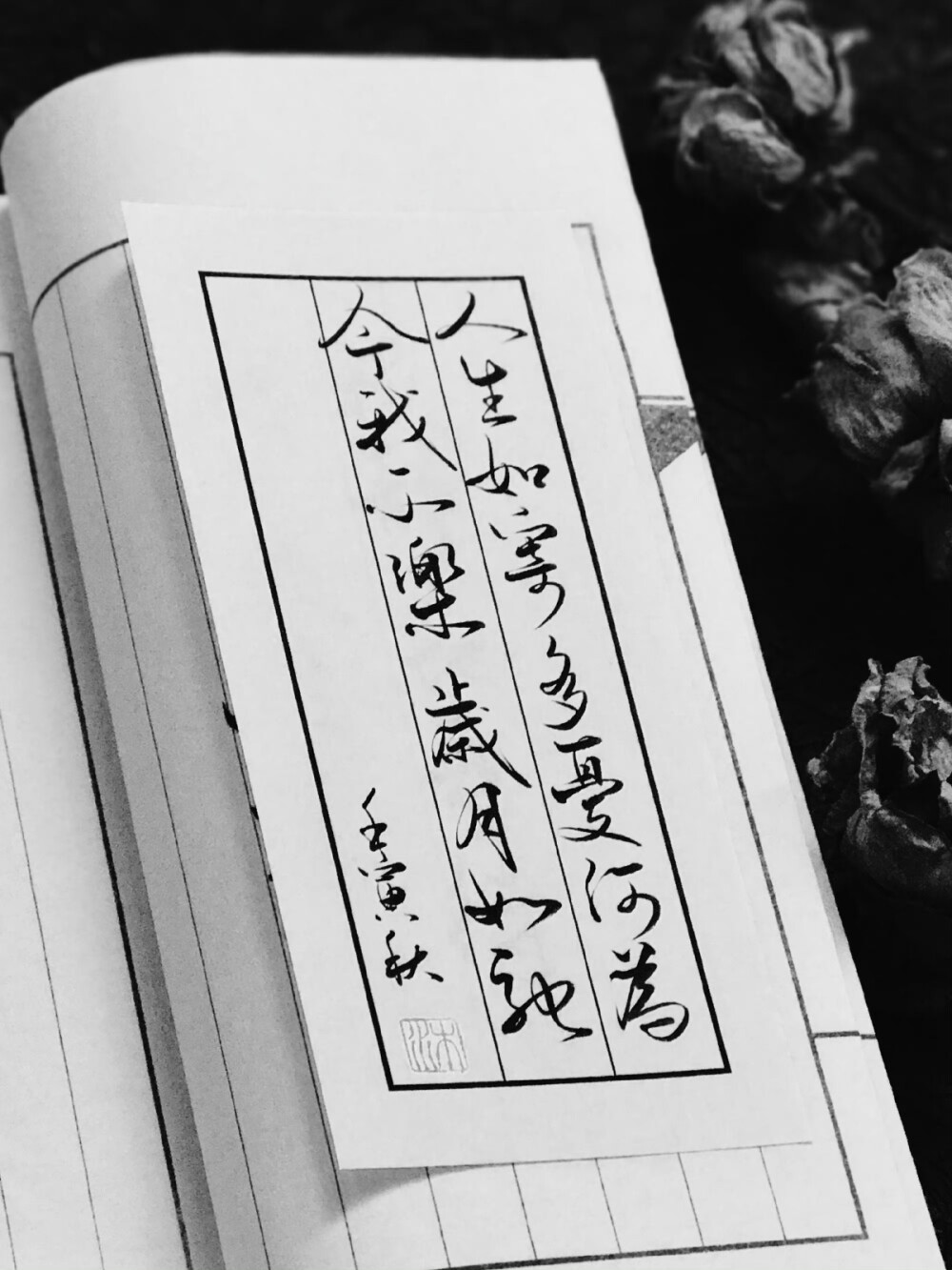 “人生如寄，多忧何为？今我不乐，岁月如驰。”
——曹丕《善哉行》
