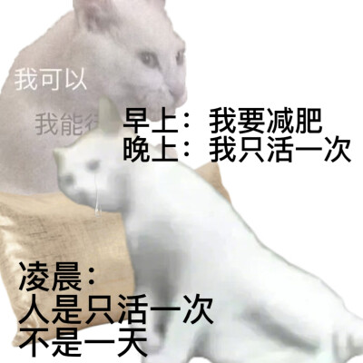 表情包