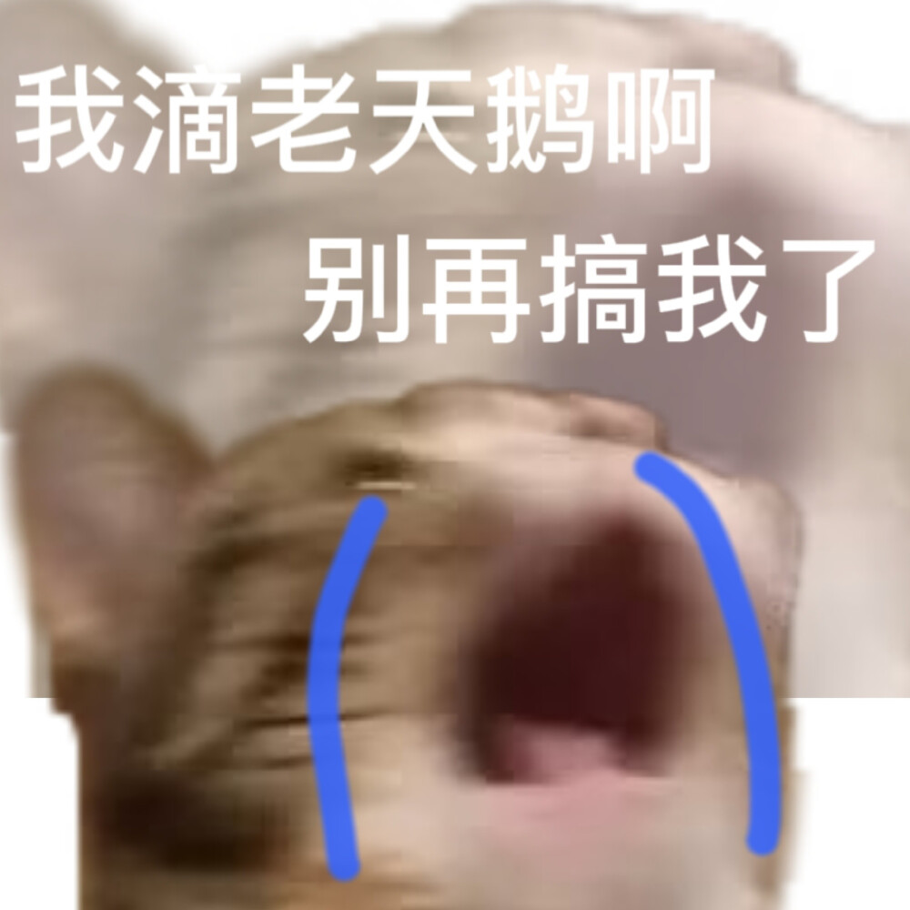 表情包