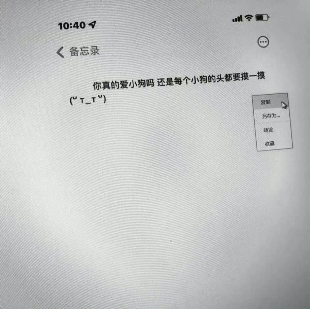 单曲循环的歌词都是遗憾