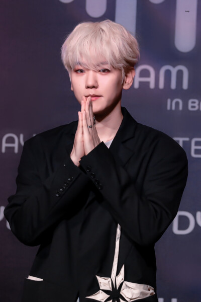 小狐狸。