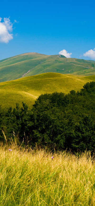 风景