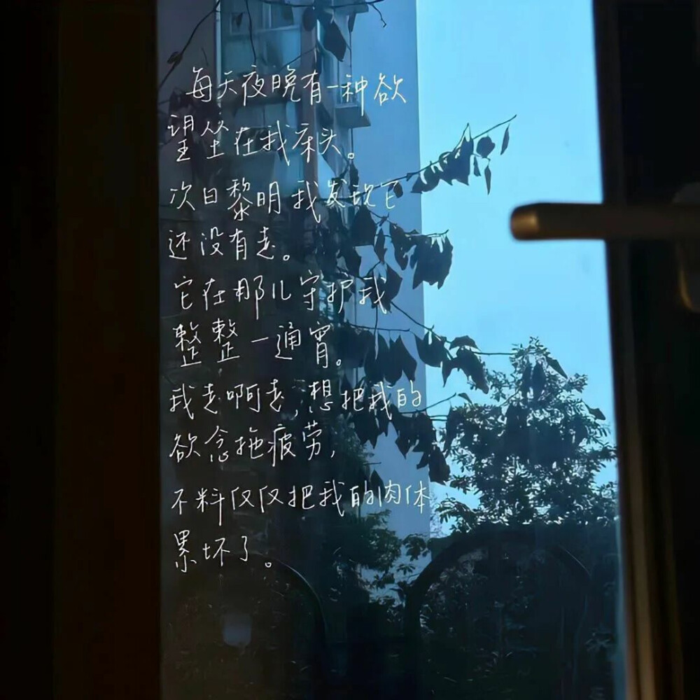 单曲循环的歌词都是遗憾