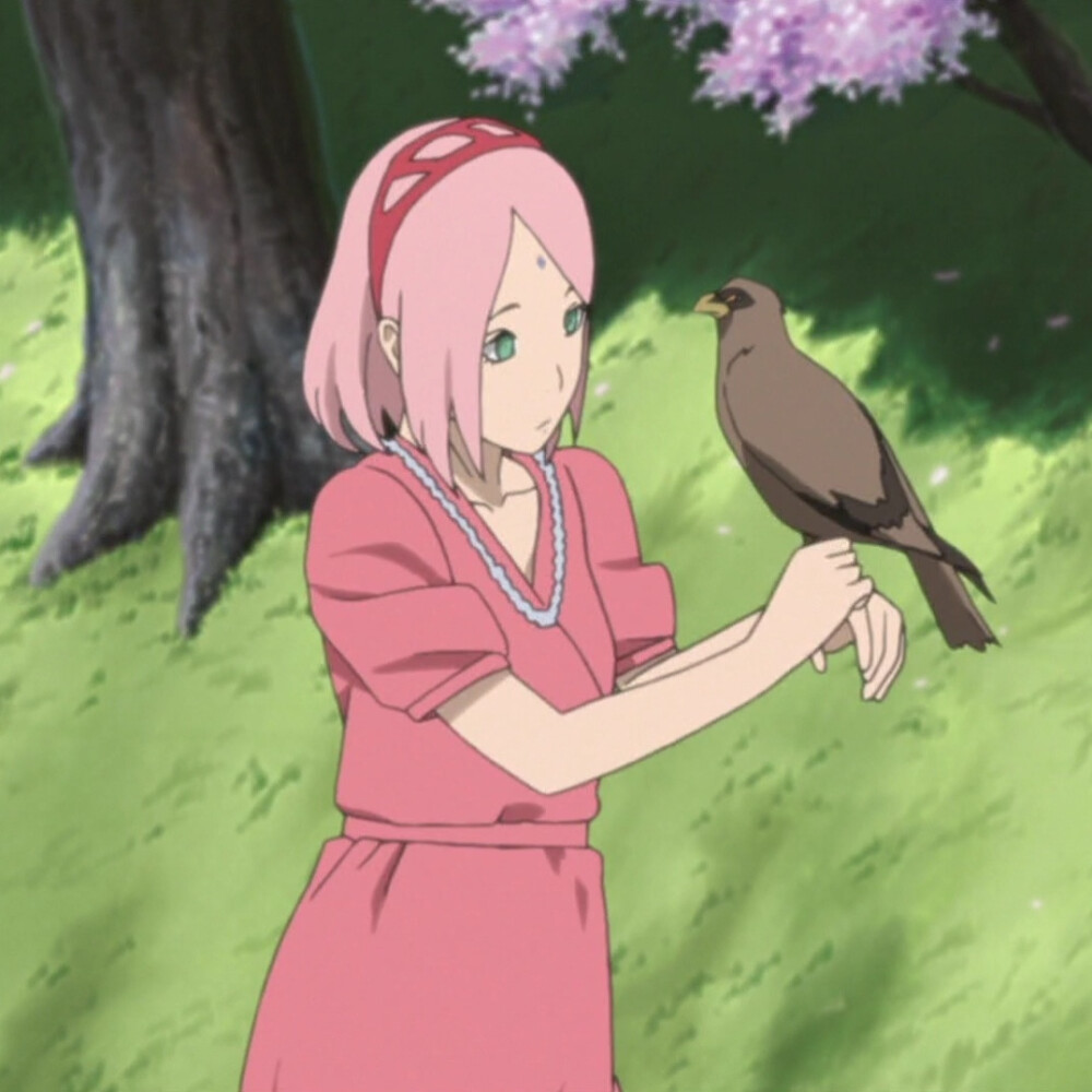 春野樱