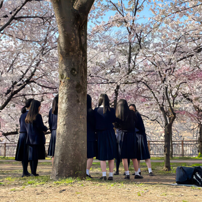 背景｜文案
平生最爱鱼无舌，游遍江湖少是非。
