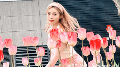 许杨玉琢素材｜谁说公主和王子是绝配
使用注明Dawn顾奶芙
二转二改注明Dawn顾奶芙