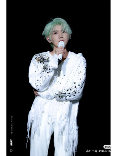 王源上海演唱会