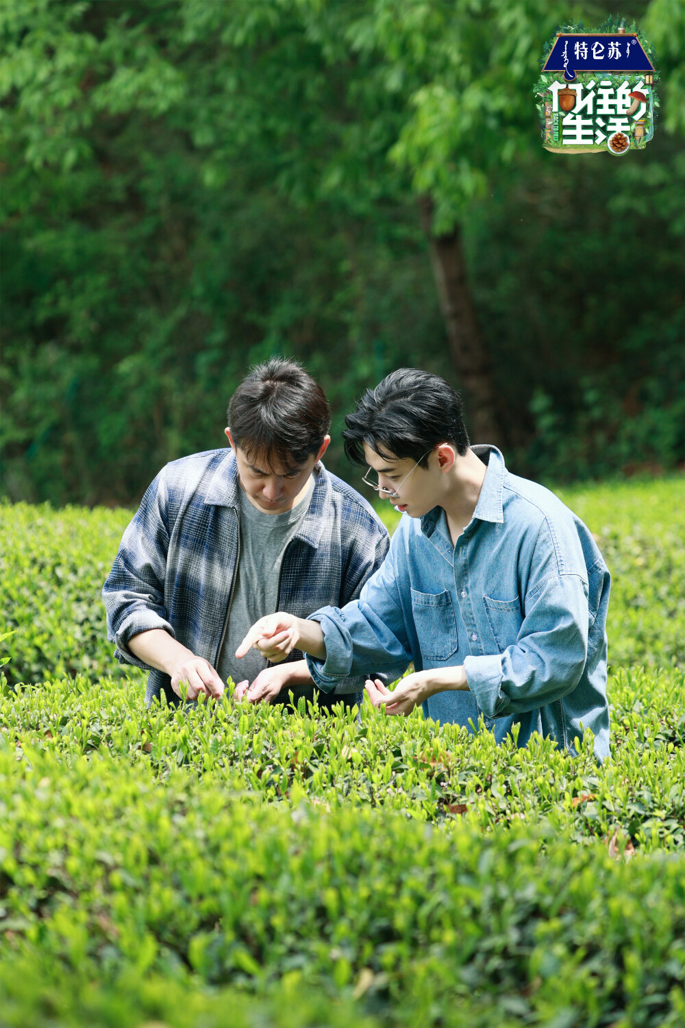 《向往的生活》第七季