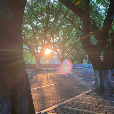 背景｜文案
冬日晴可爱，温如君子人。