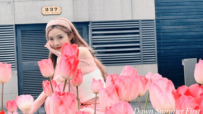 许杨玉琢素材｜谁说公主和王子是绝配
使用注明Dawn顾奶芙
二转二改注明Dawn顾奶芙