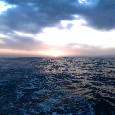 WINNER(feat. ASH ISLAND)
