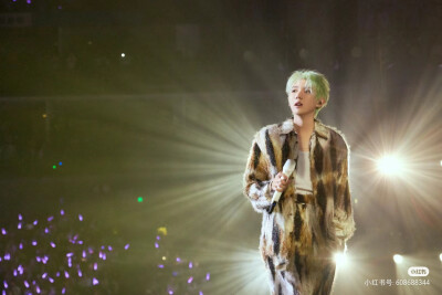 王源上海演唱会