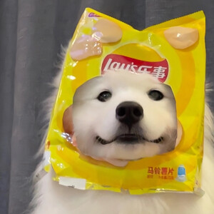 高清图片,堆糖,美图壁纸兴趣社区