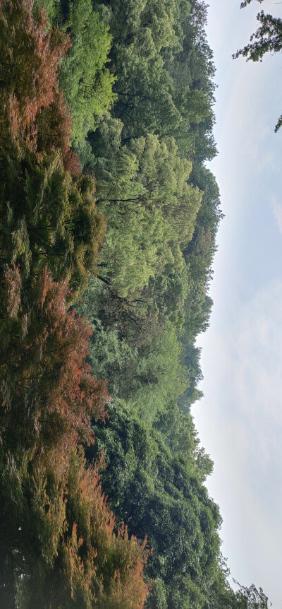 长沙 | 岳麓山