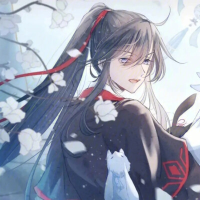 魔道祖师头像