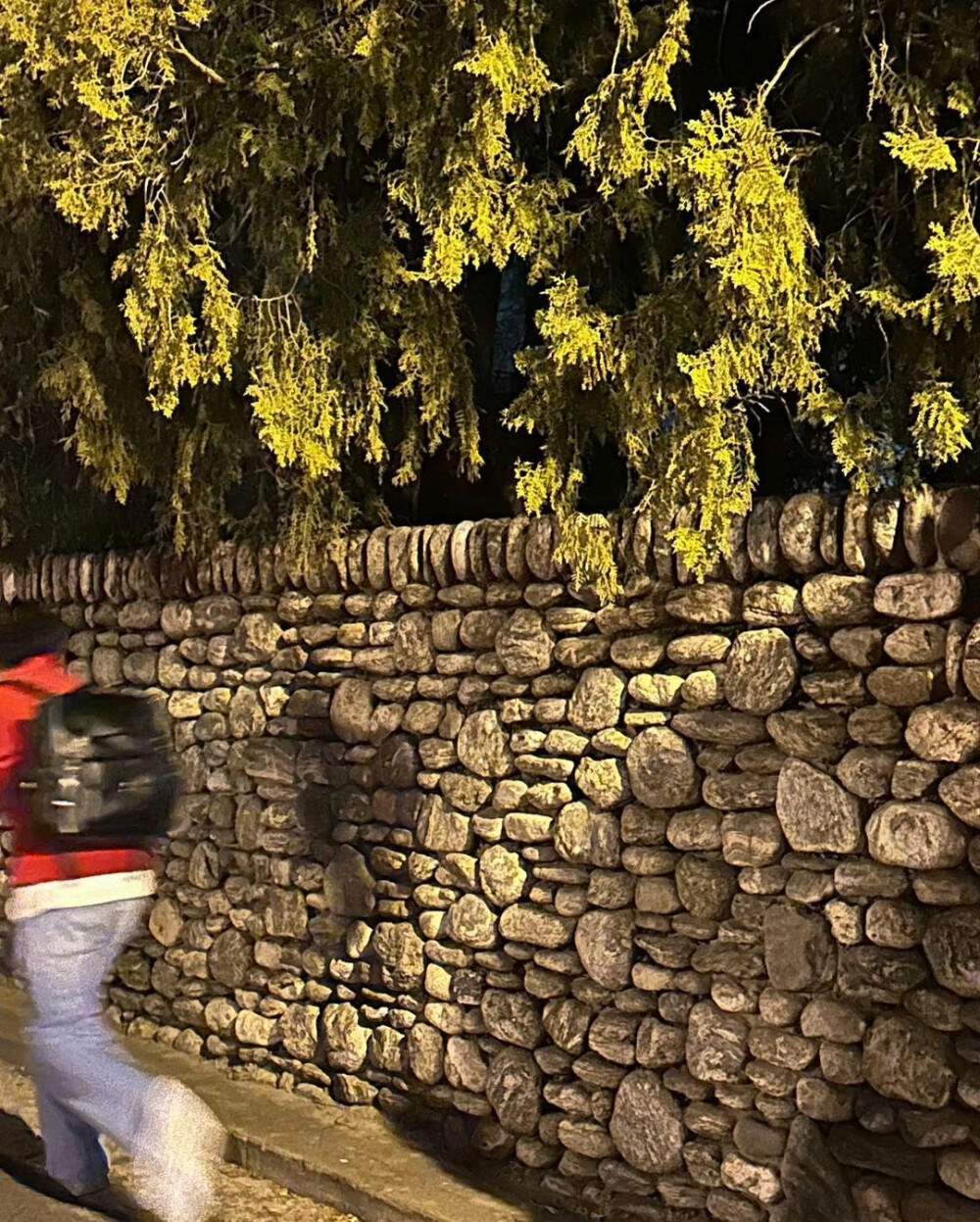 金泰亨
230514 INS