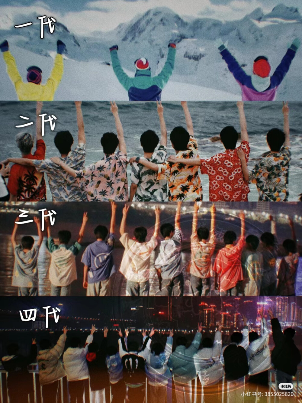 TF家族三代