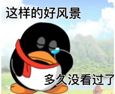 表情包