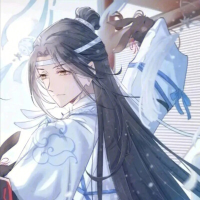 魔道祖师头像