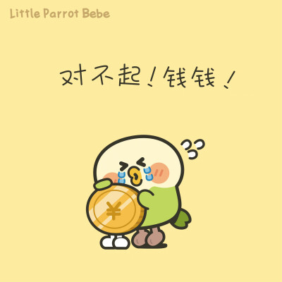 小鹦鹉bebe