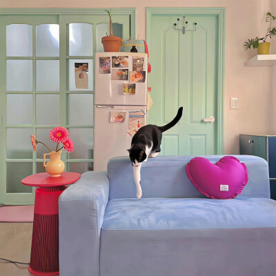 在突然的某天 重逢