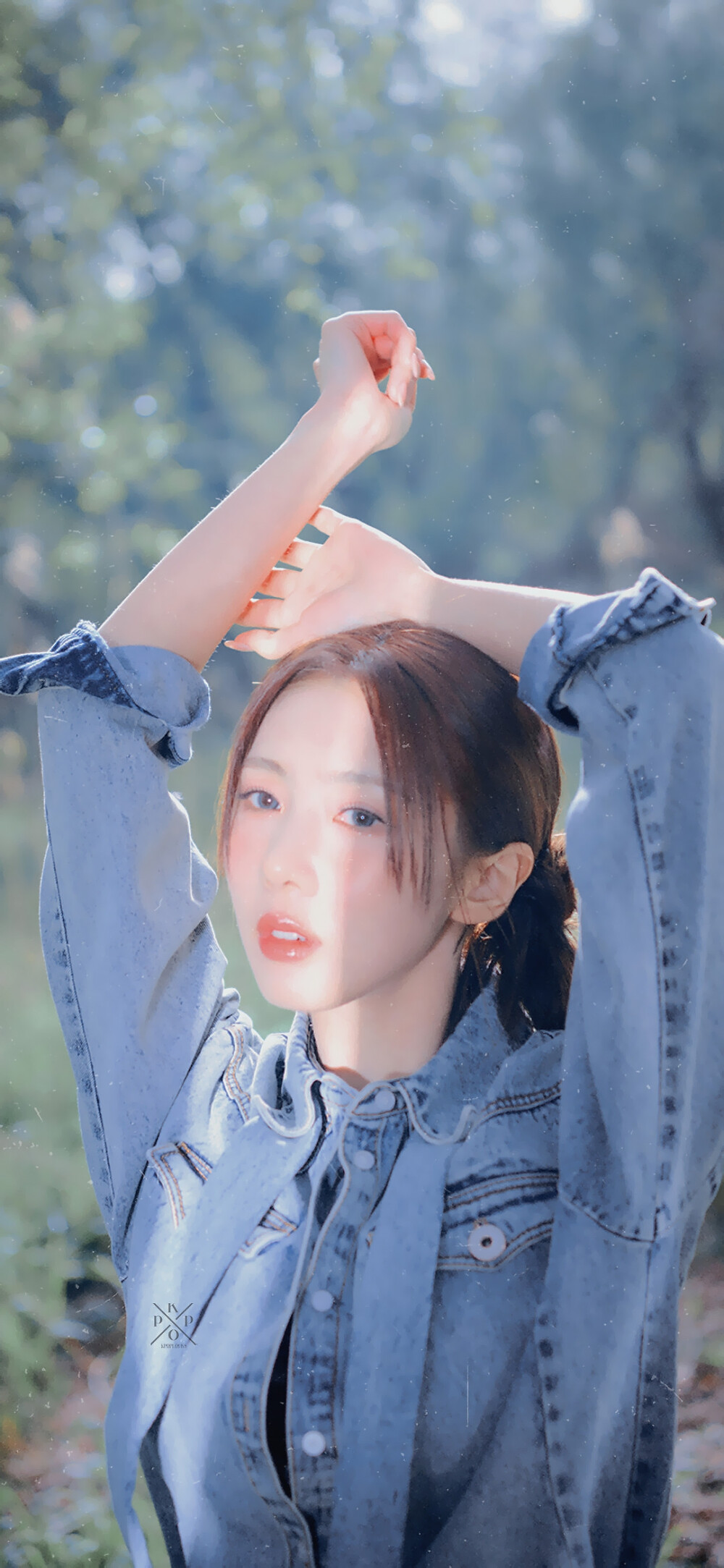 dreamcatcher