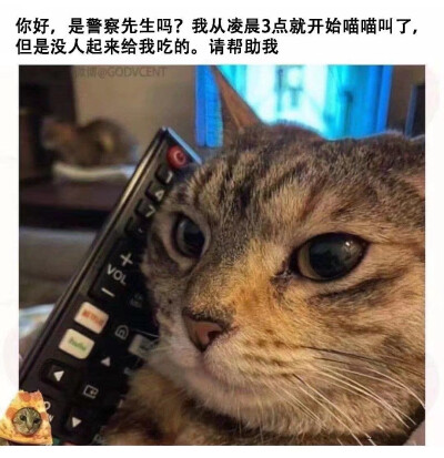 你沼泽那样的眼睛