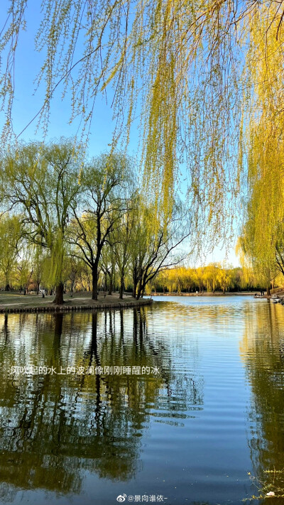 图源微博：景向谁依–