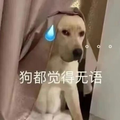 搞怪表情