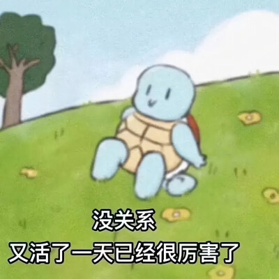 表情
