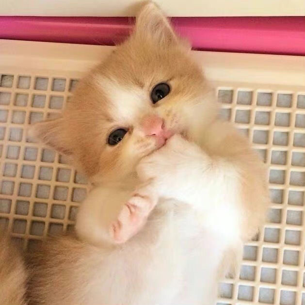 ，