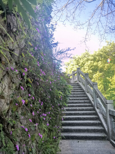 静下心来看风景——烟台山