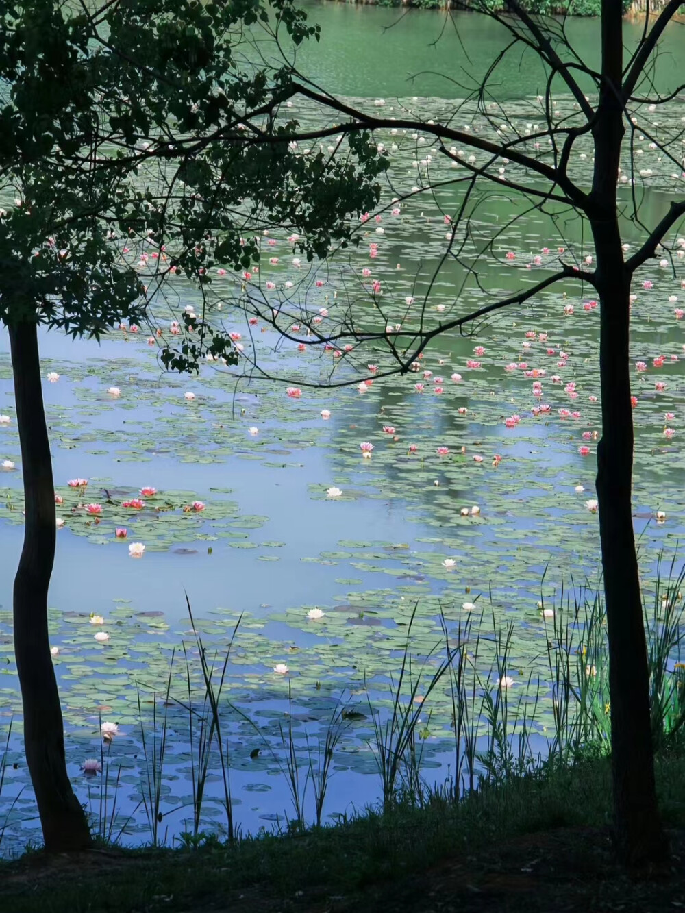 风景壁纸