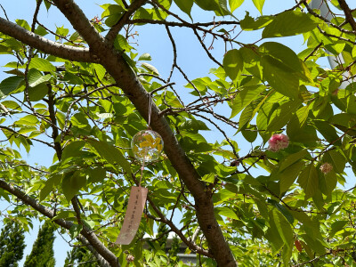 中空｜：得不到爱和养分
外貌似乎还算健康，但感觉身体里面已经被吞噬掉了，是空的，完全不能给予自己任何形式的支持，因为已经空掉了……