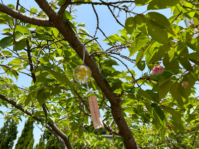 中空｜：得不到爱和养分
外貌似乎还算健康，但感觉身体里面已经被吞噬掉了，是空的，完全不能给予自己任何形式的支持，因为已经空掉了……