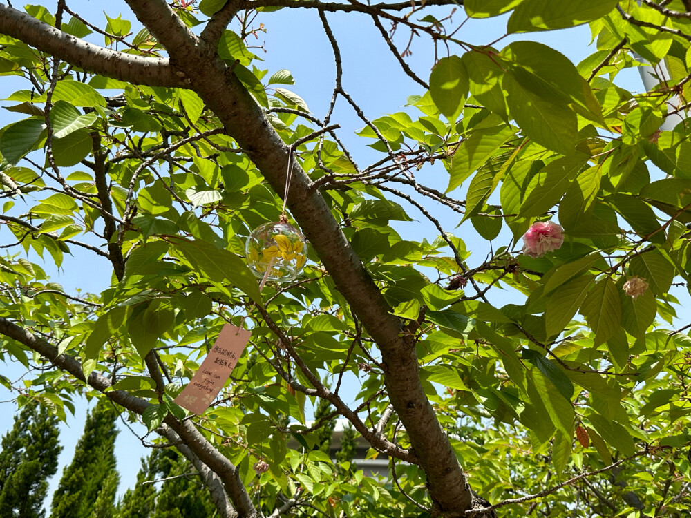 中空｜：得不到爱和养分
外貌似乎还算健康，但感觉身体里面已经被吞噬掉了，是空的，完全不能给予自己任何形式的支持，因为已经空掉了……