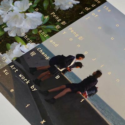 图源ks一支椿
5.6