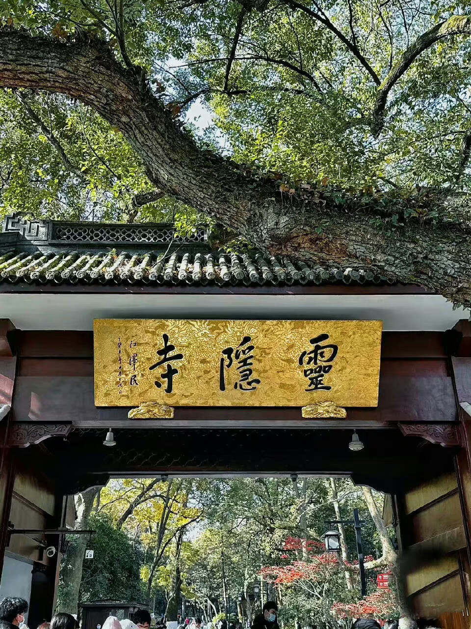 你的信念会带你杀出重围