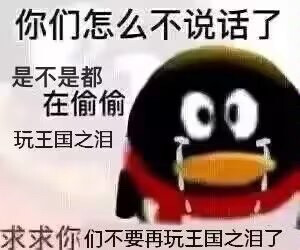 你们怎么不说话，是不是都在偷偷玩王国之泪