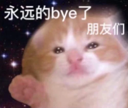 猫咪表情包