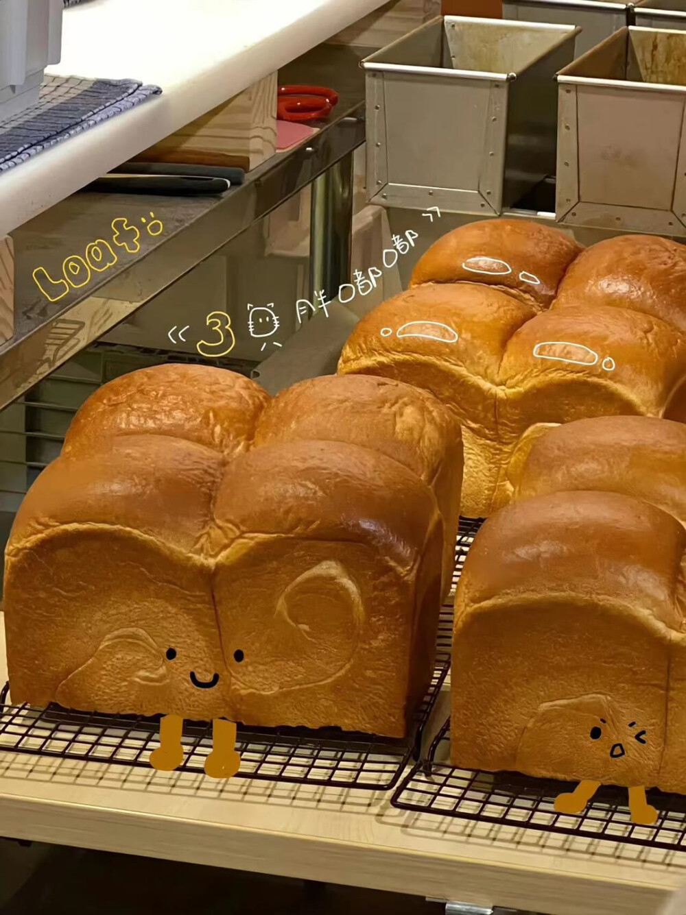 图源ks一支椿
4.29