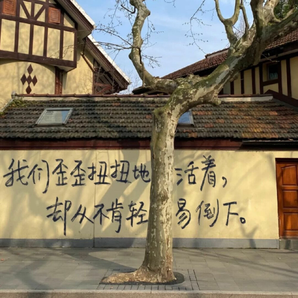 图源ks一支椿
4.30