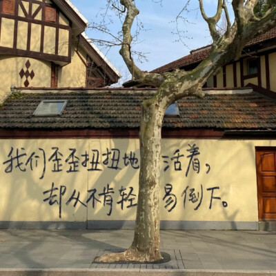 图源ks一支椿
4.30