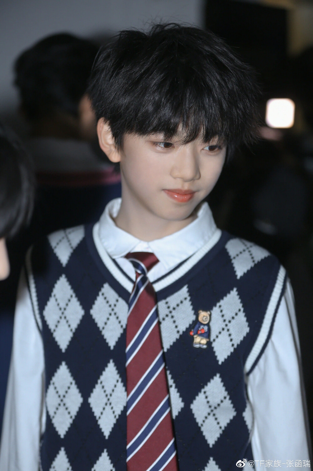 TF家族–张函瑞