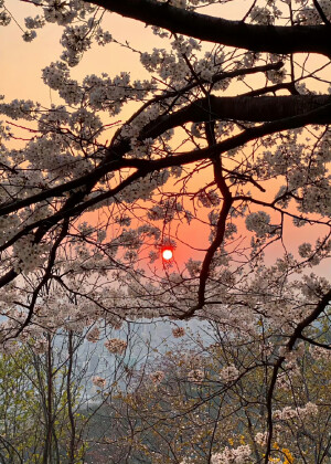 春风吹野草，亦会是山花烂漫